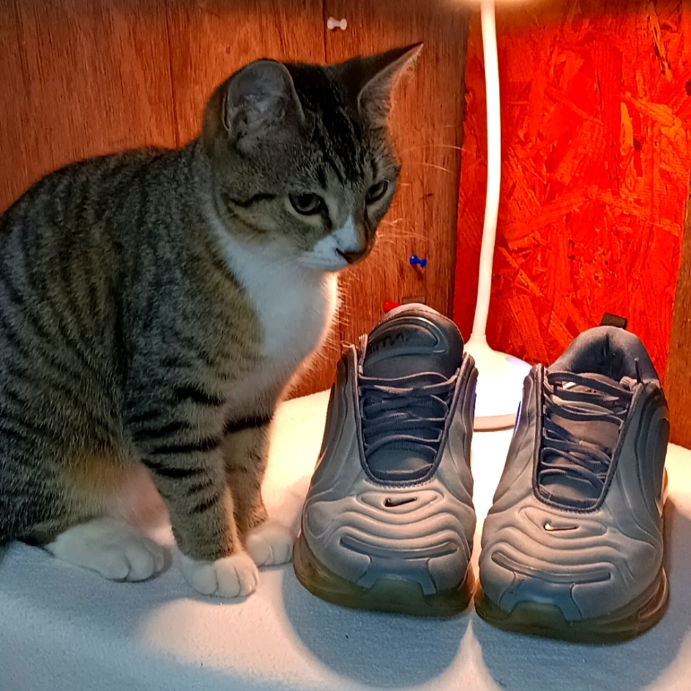 Nike Air Max wemons shoes, size 9, Grey